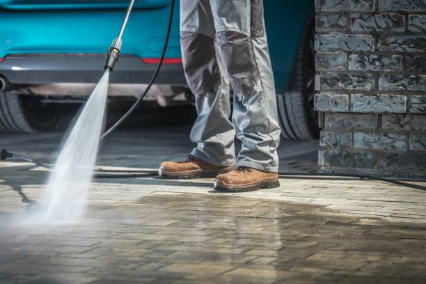 Best Paint Preparation  in Dover, AR