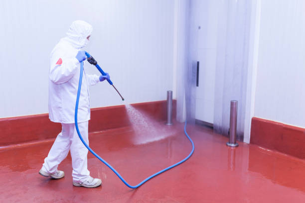 Best Solar Panel Cleaning  in Dover, AR
